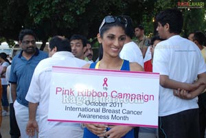 Pink Ribbon Walk 2011