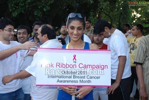 Pink Ribbon Walk 2011