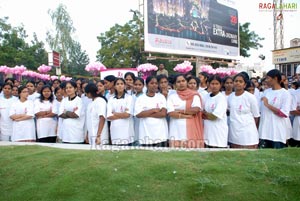 Pink Ribbon Walk 2011