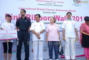 Pink Ribbon Walk 2011