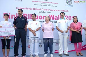 Pink Ribbon Walk 2011