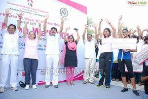 Pink Ribbon Walk 2011