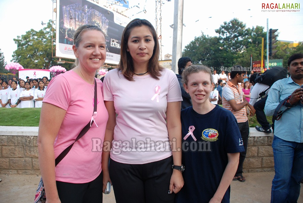 Pink Ribbon Walk 2011