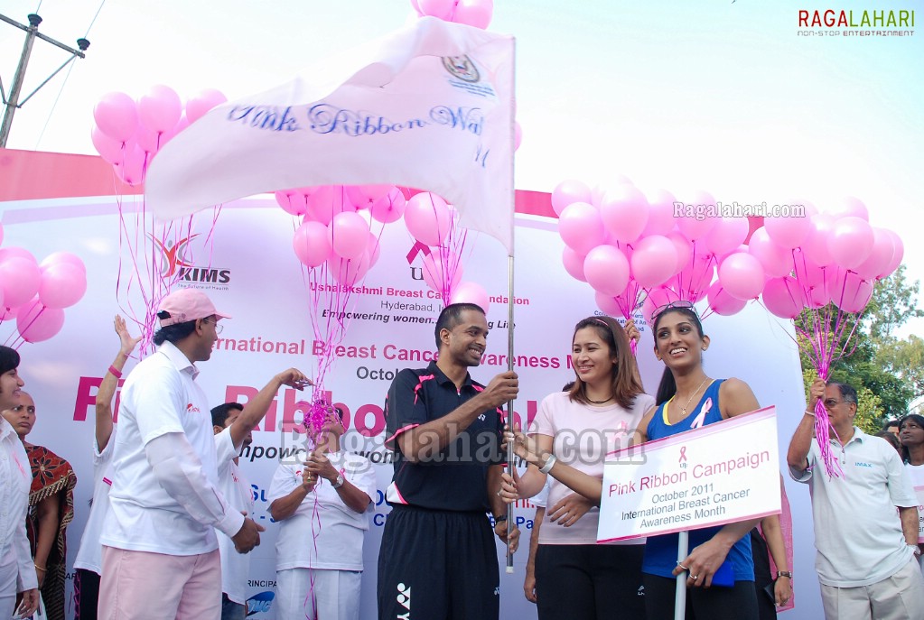 Pink Ribbon Walk 2011