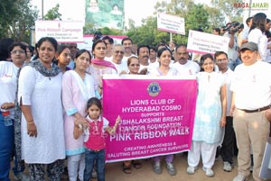 Pink Ribbon Walk 2011