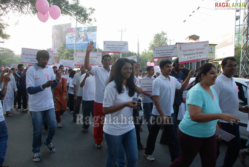 Pink Ribbon Walk 2011