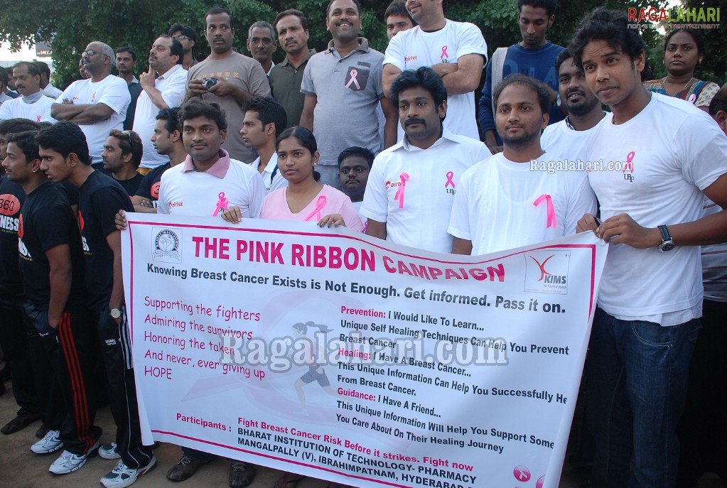 Pink Ribbon Walk 2011