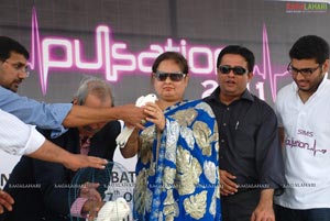 Pulsation 2011