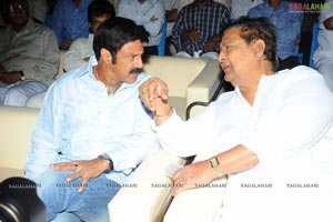 Sri Ramarajyam Audio Success Meet