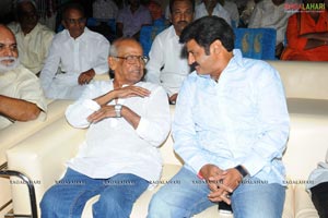 Sri Ramarajyam Audio Success Meet