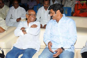 Sri Ramarajyam Audio Success Meet