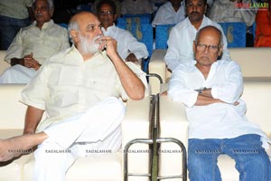 Sri Ramarajyam Audio Success Meet