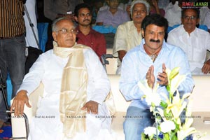 Sri Ramarajyam Audio Success Meet