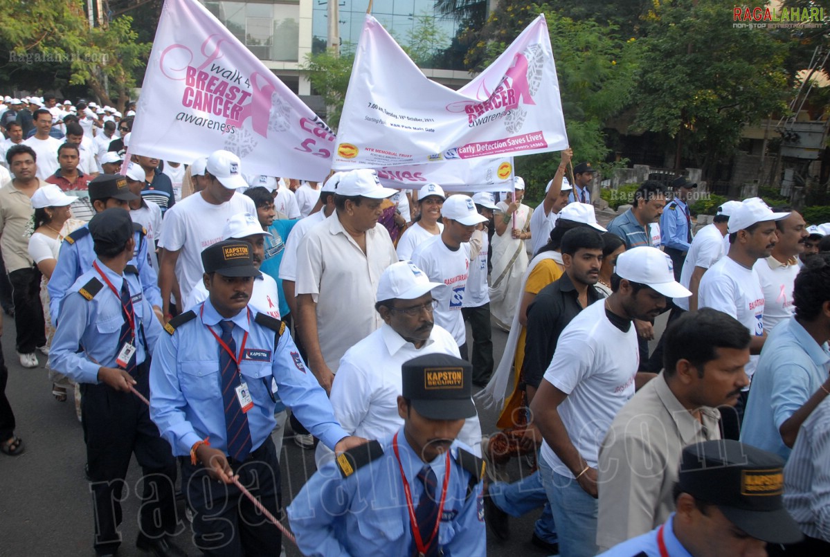 I Walk 4 Breast Cancer Awareness