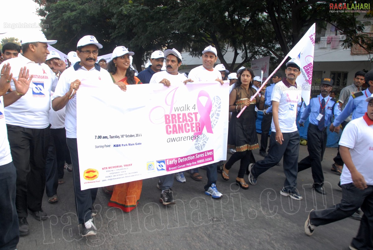 I Walk 4 Breast Cancer Awareness