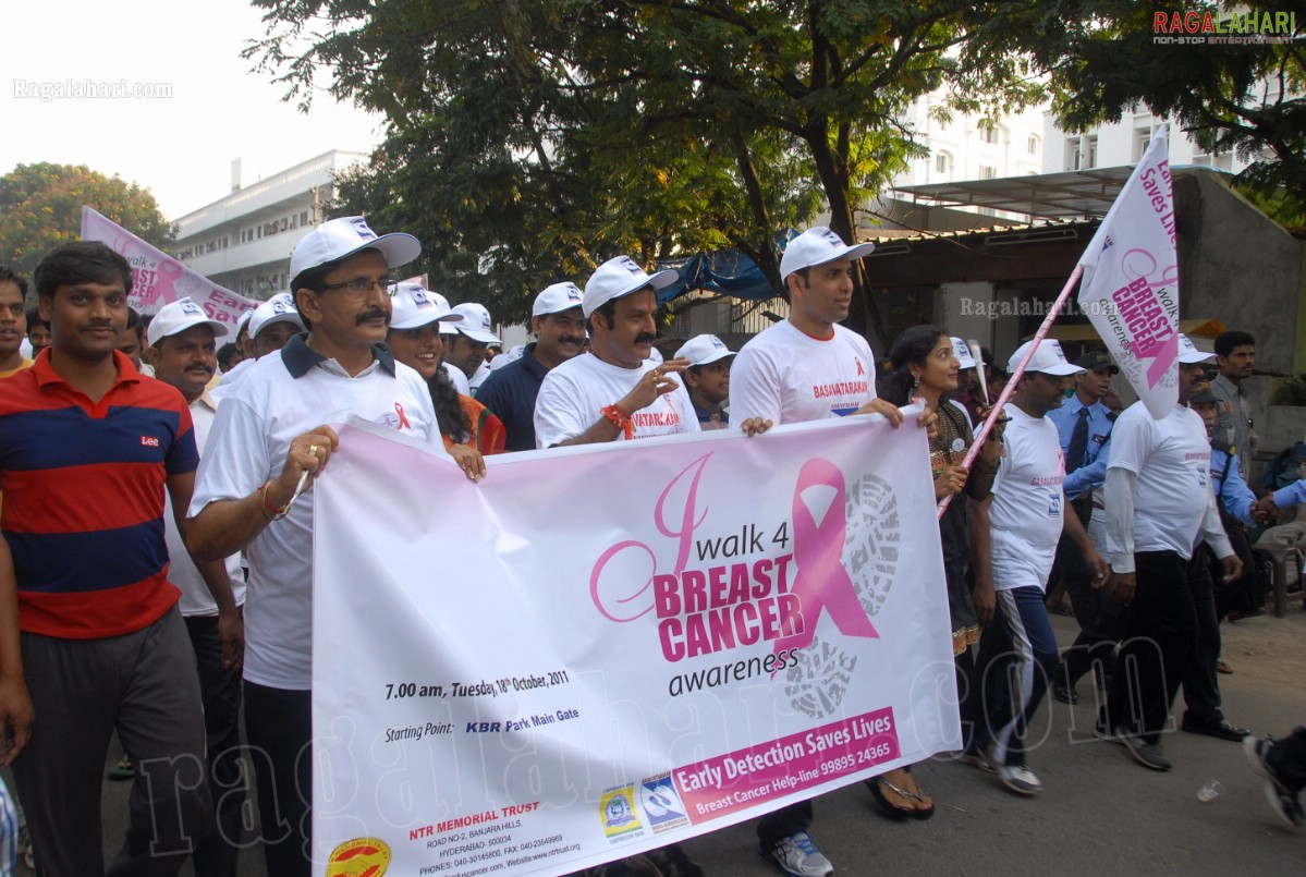 I Walk 4 Breast Cancer Awareness