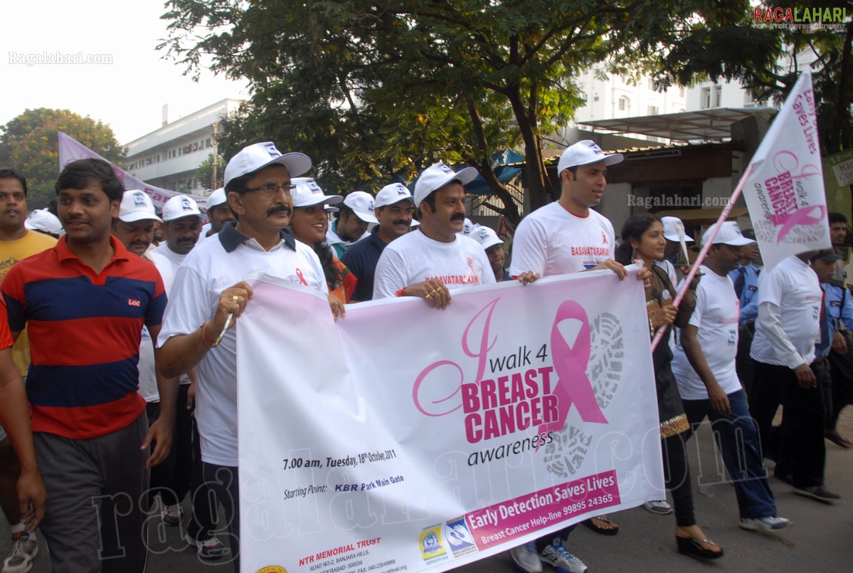 I Walk 4 Breast Cancer Awareness