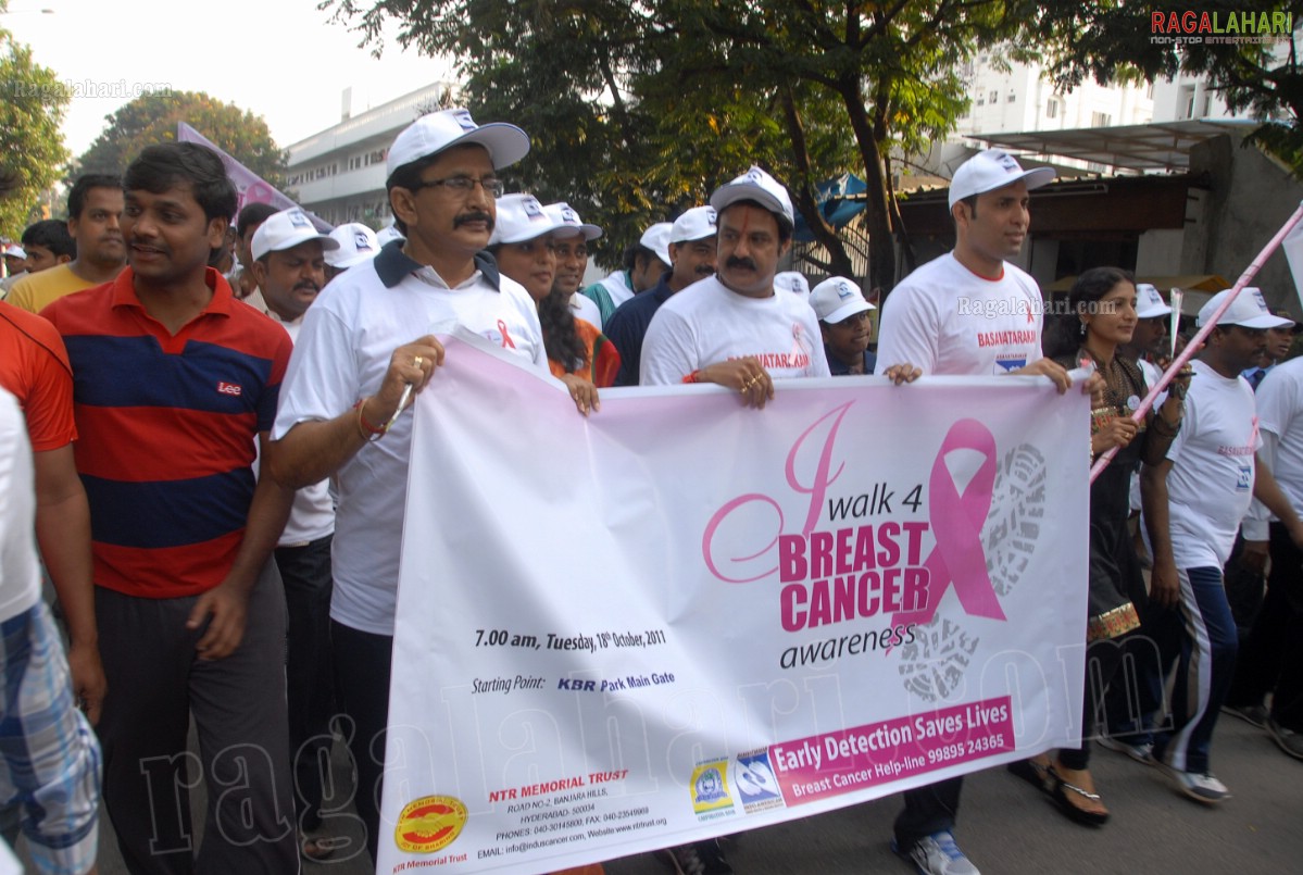 I Walk 4 Breast Cancer Awareness