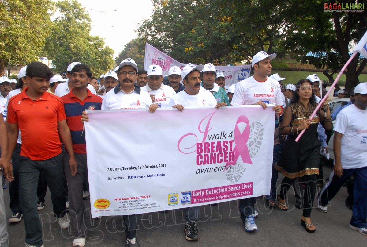 I Walk 4 Breast Cancer Awareness