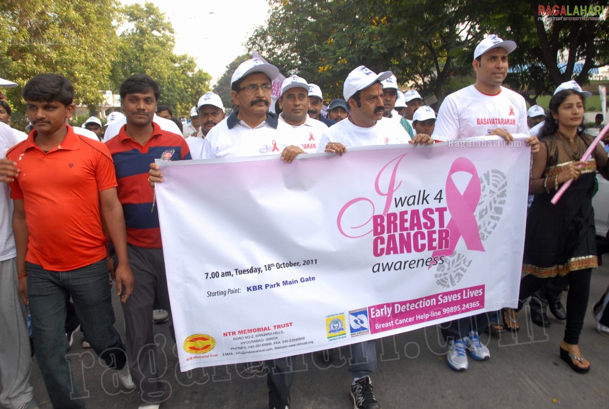 I Walk 4 Breast Cancer Awareness