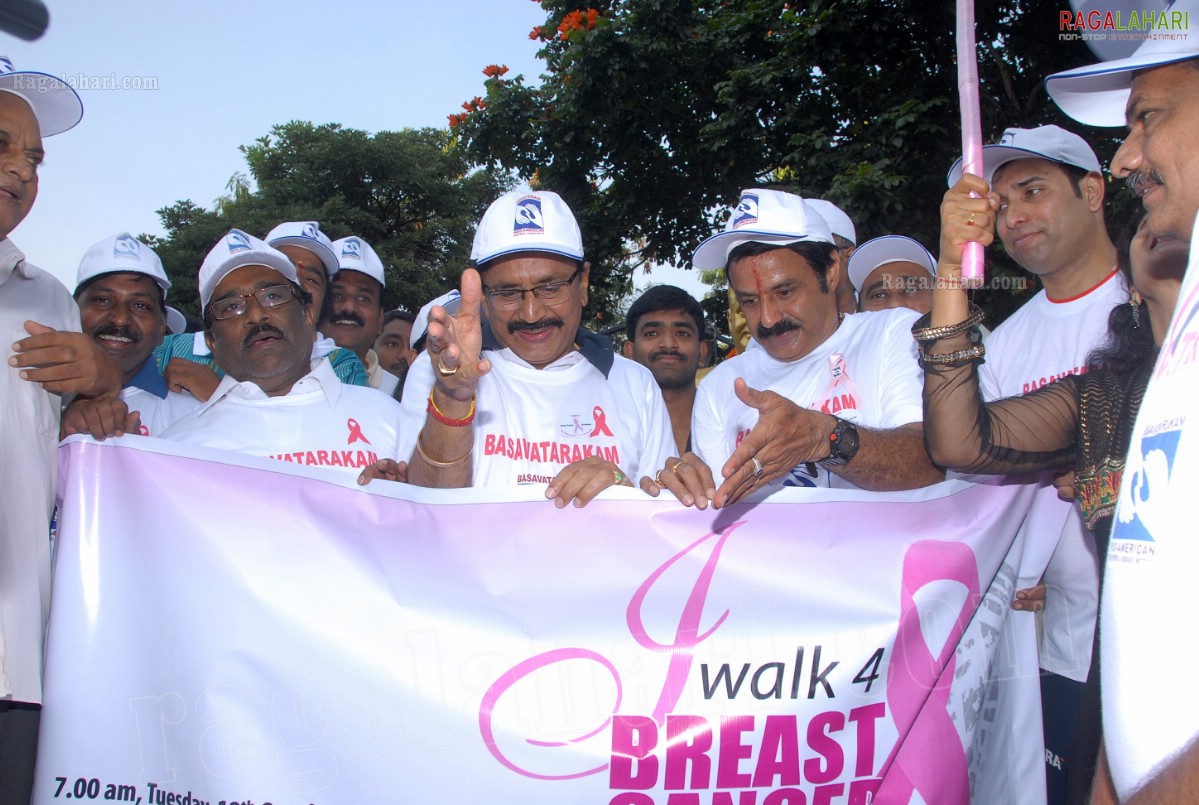 I Walk 4 Breast Cancer Awareness