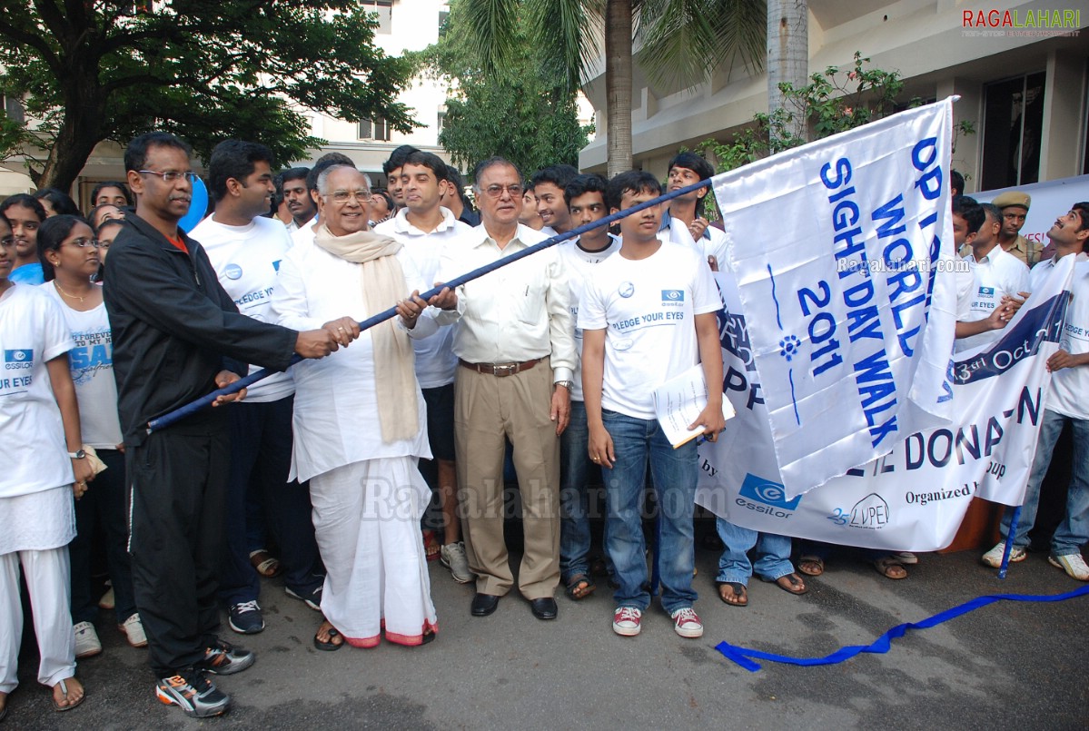 WSD Walk 2011