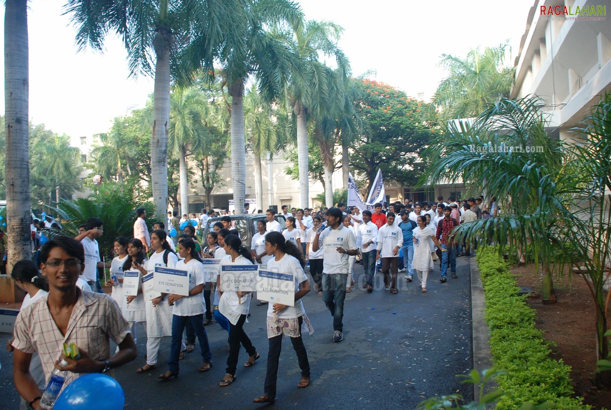 WSD Walk 2011