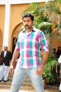 Taraka Ratna, Sheena