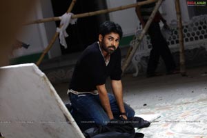 Panjaa - Pawan Kalyan, Sarah Jane Dias