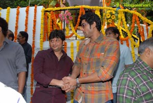 Allu Arjun Surender Reddy Film