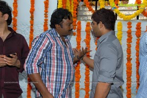 Allu Arjun Surender Reddy Film