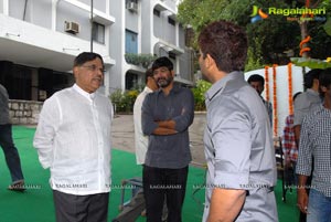 Allu Arjun Surender Reddy Film