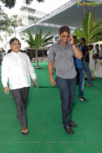 Allu Arjun Surender Reddy Film