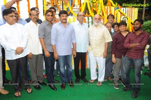 Allu Arjun Surender Reddy Film