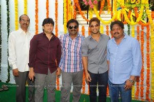 Allu Arjun Surender Reddy Film