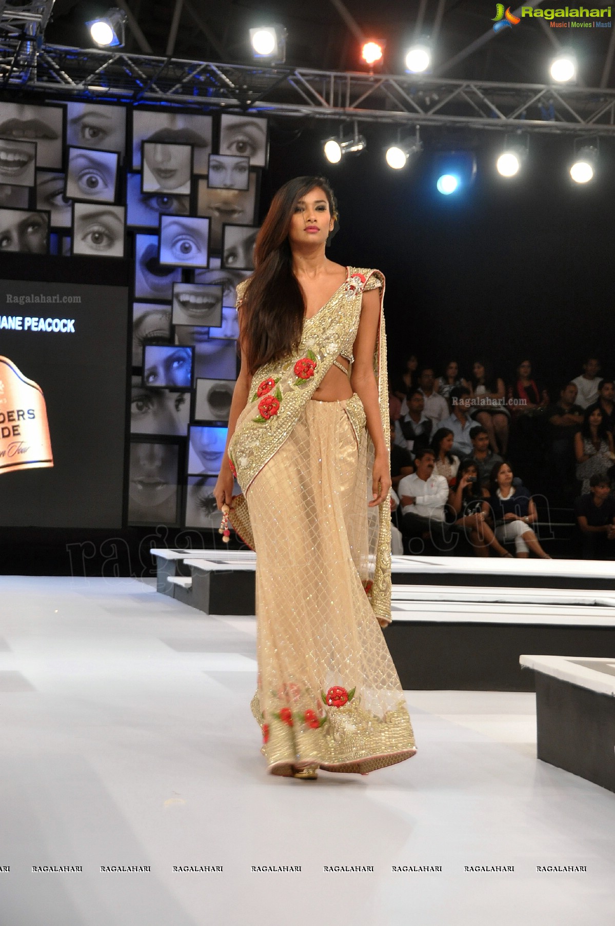 Blenders Pride Fashion Tour 2012, Hyderabad (Day 2)