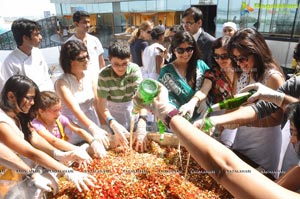 Cake Mixing 2012 The Park Hyderabad