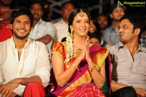 Gundello Godari Audio Release