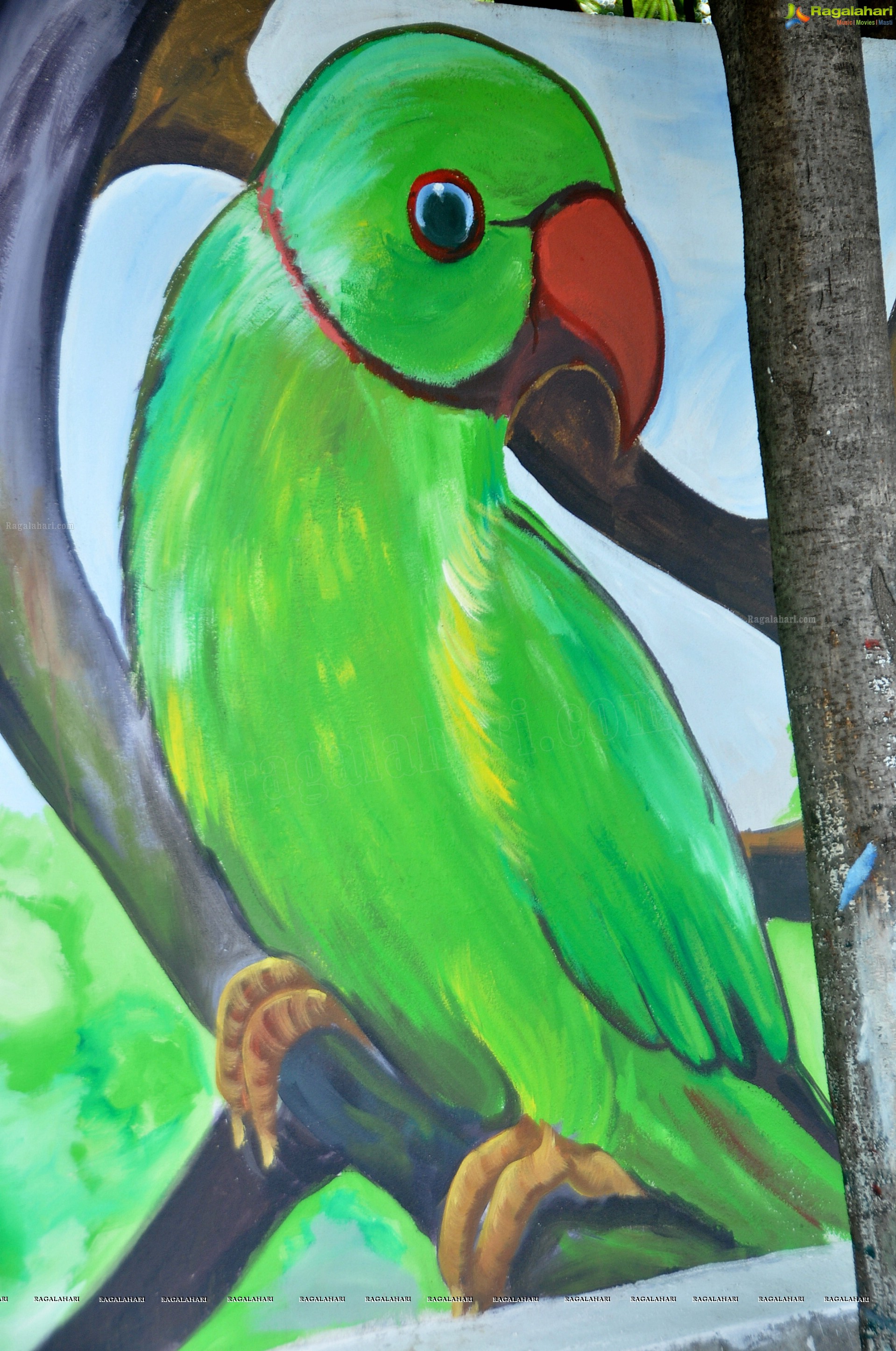 Paintings on the Masasb Tank Flyover on the eve of CoP-11 on Biodiversity