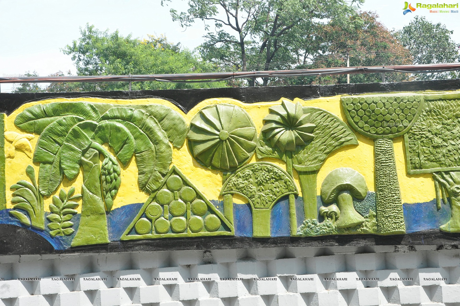 Paintings on the Masasb Tank Flyover on the eve of CoP-11 on Biodiversity