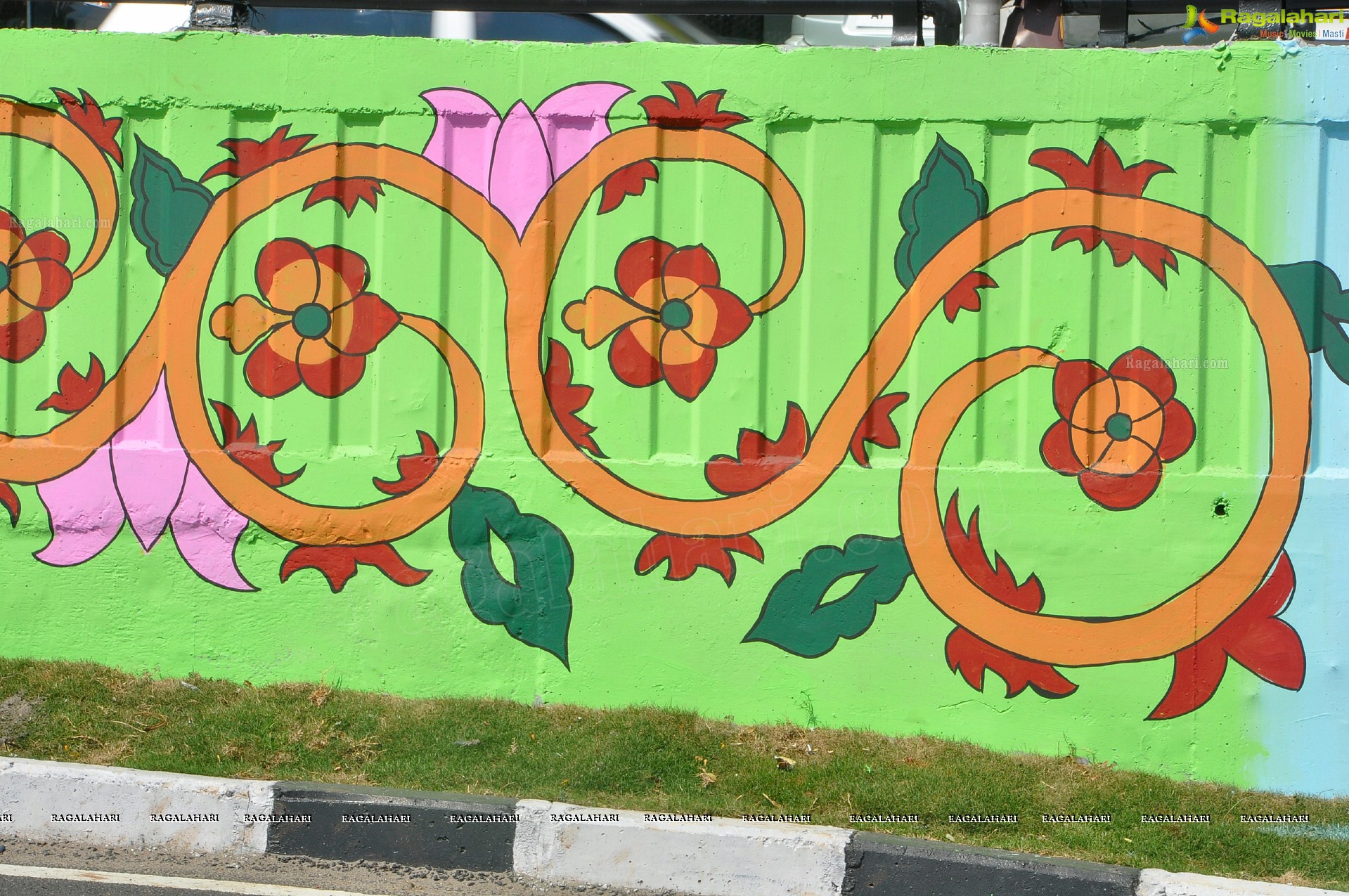 Paintings on the Masasb Tank Flyover on the eve of CoP-11 on Biodiversity