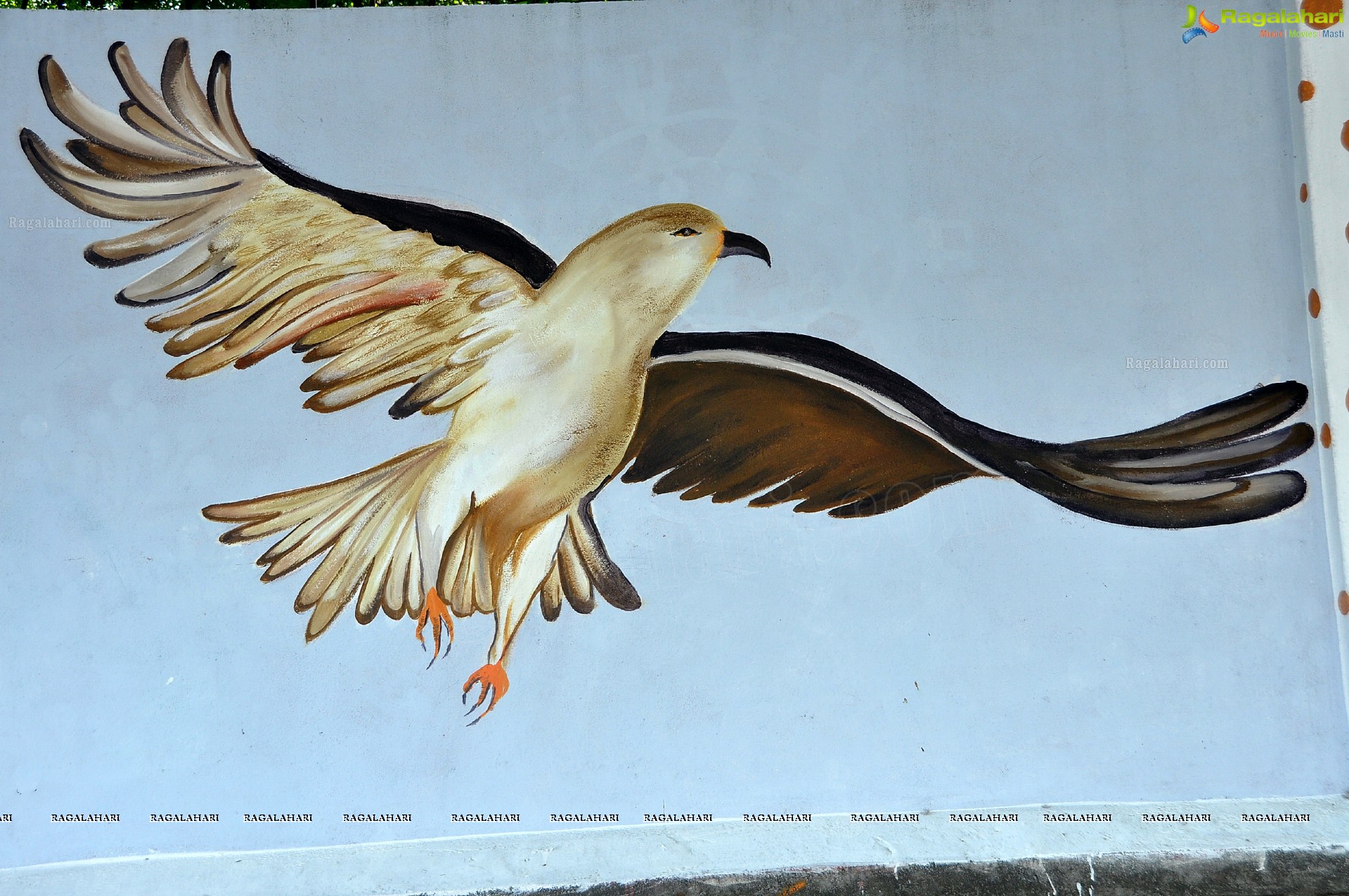 Paintings on the Masasb Tank Flyover on the eve of CoP-11 on Biodiversity