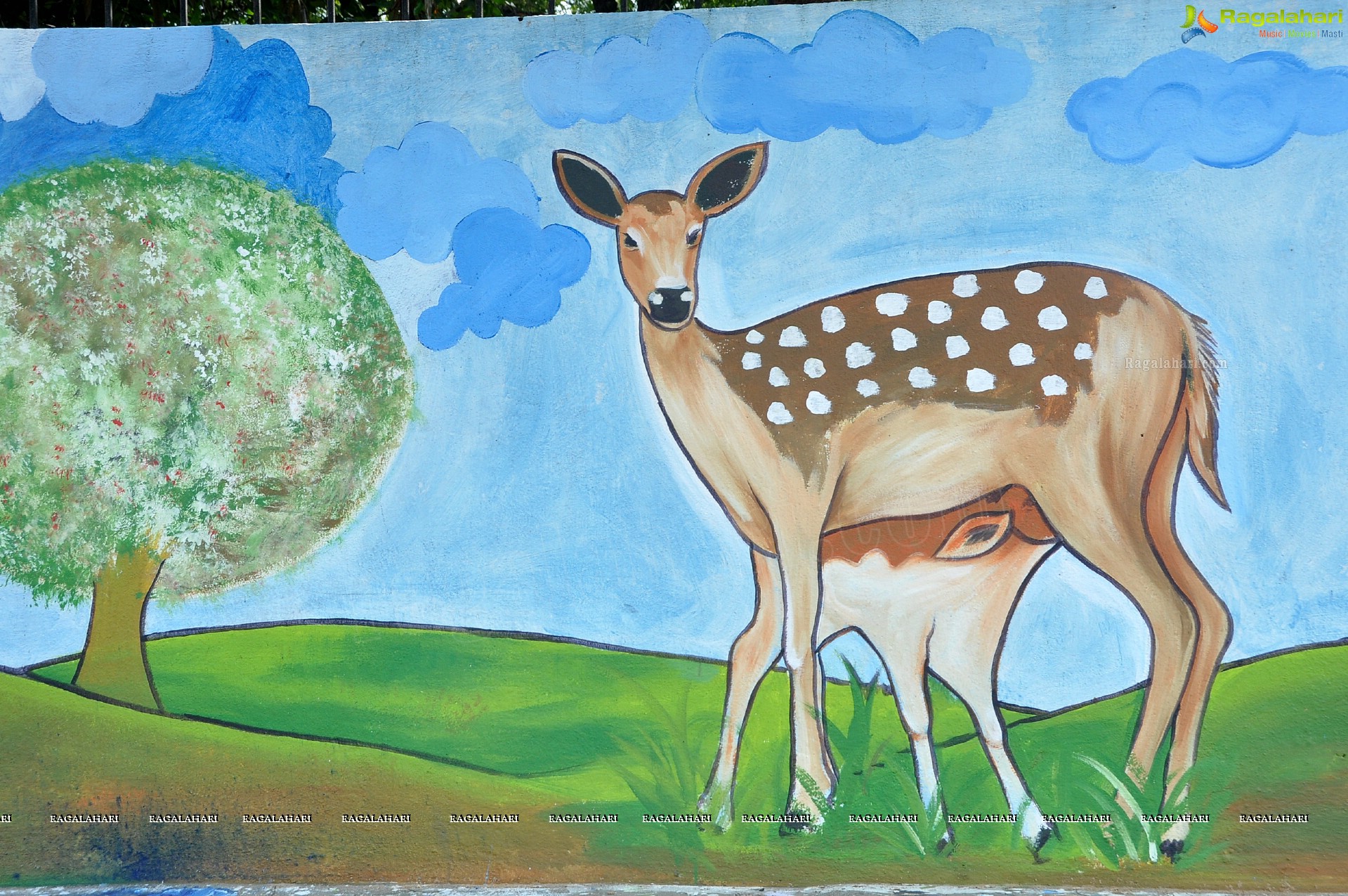 Paintings on the Masasb Tank Flyover on the eve of CoP-11 on Biodiversity