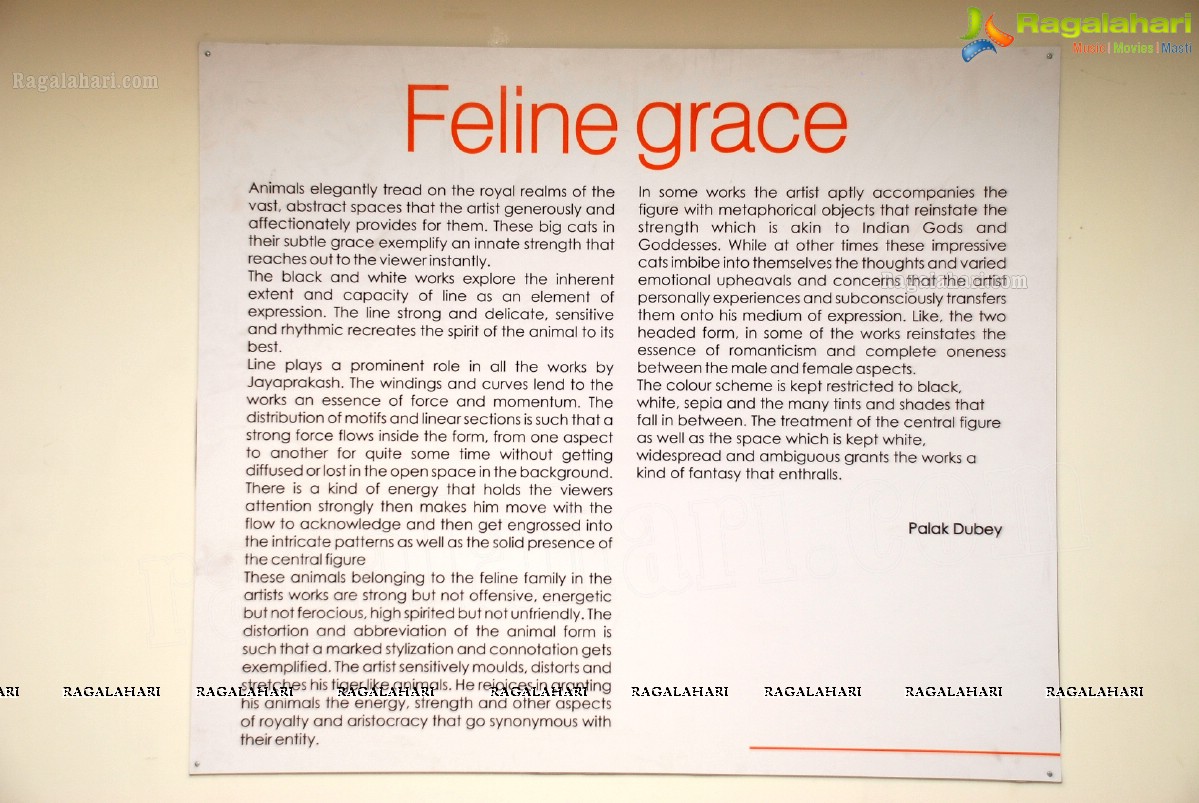Feline Grace - A Solo Art Show by Artist Jaya Prakash