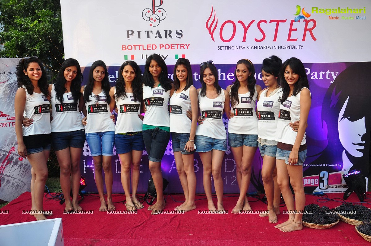 Success Celebration Party of Miss Hyderabad 2012 Beauties (Set 1)