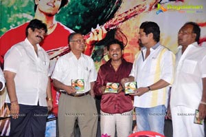 Nithya Audio Release Function