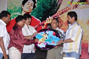 Nithya Audio Release Function