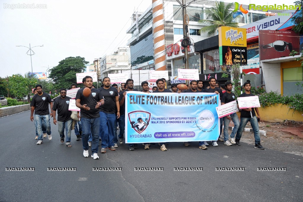 UBF Pink Ribbon Walk 2012, Hyderabad