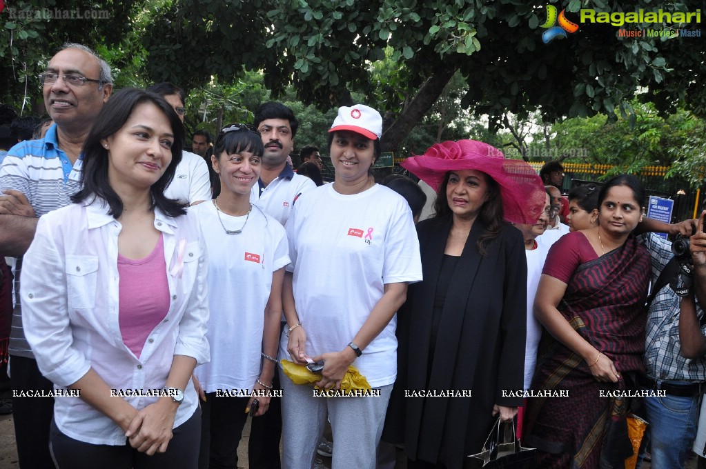 UBF Pink Ribbon Walk 2012, Hyderabad