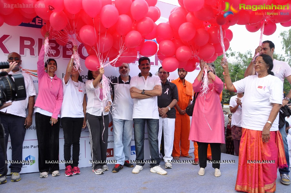 UBF Pink Ribbon Walk 2012, Hyderabad